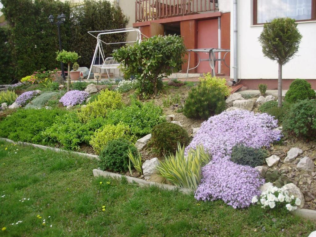 Apartman Berki Hévíz Quarto foto